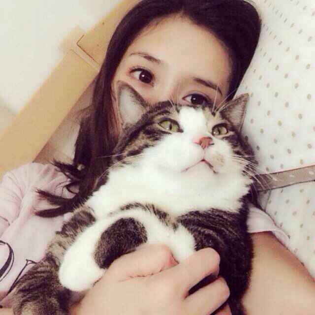 女生头像 猫咪 小清新