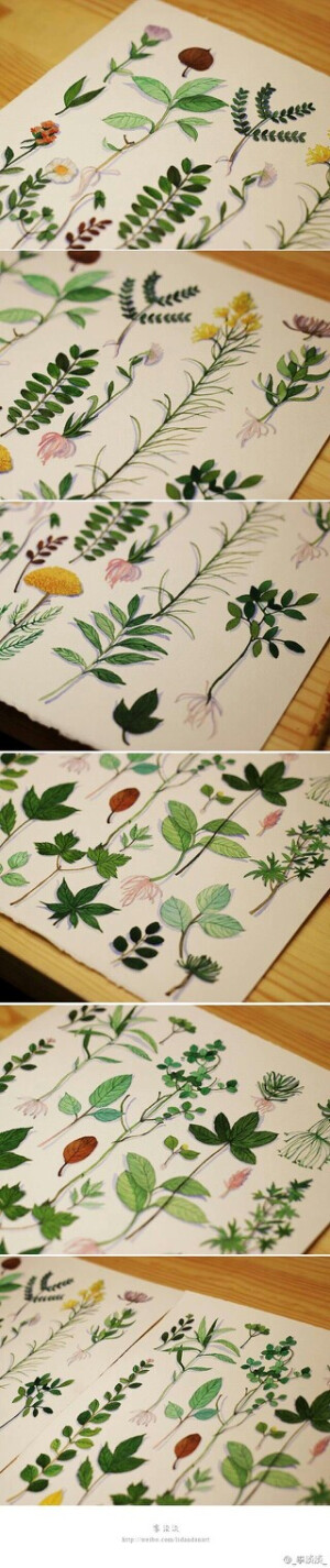转自插画师李淡淡
