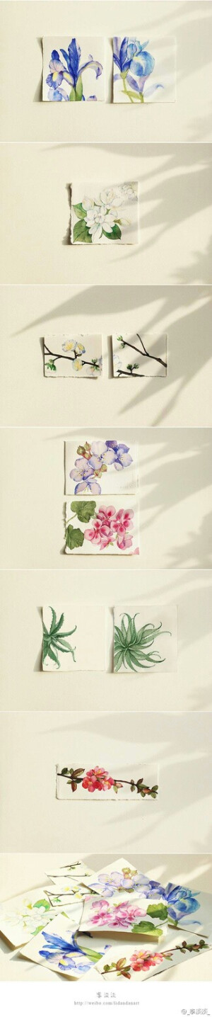 转自插画师李淡淡