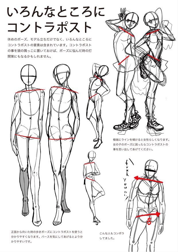 关于动漫人物的人体结构