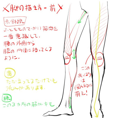 腿和脚的绘制方法{各个角度都有讲解到 有帮助了解结构}