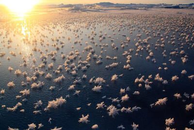 雪 海