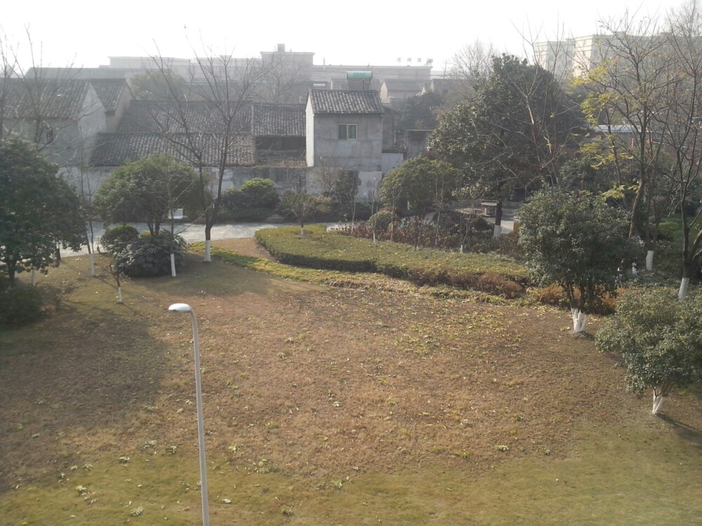 浙江万里学院东校区七号宿舍楼311外的风景，冬.