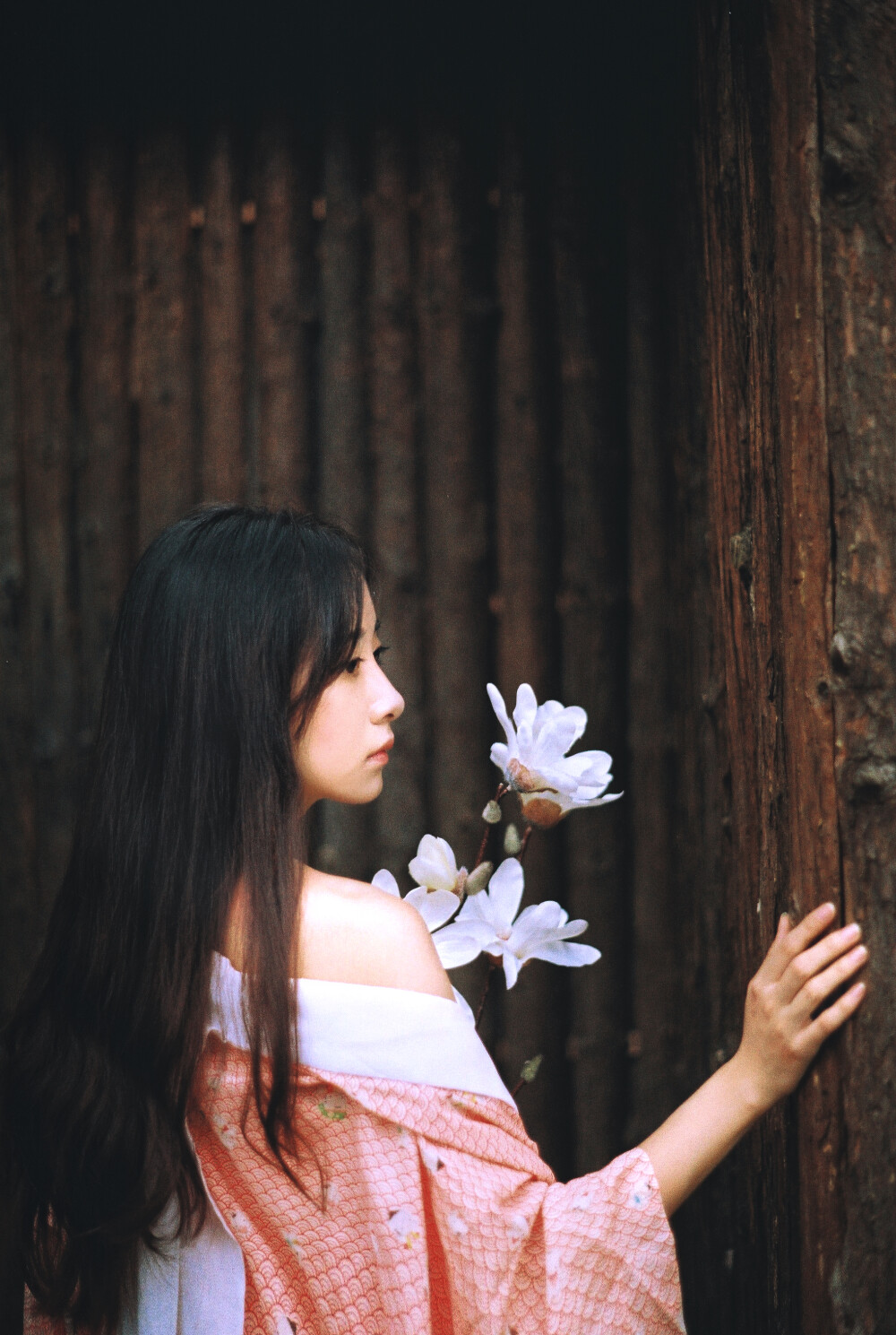 「顏」
枝上花，花下人，颜自醉。