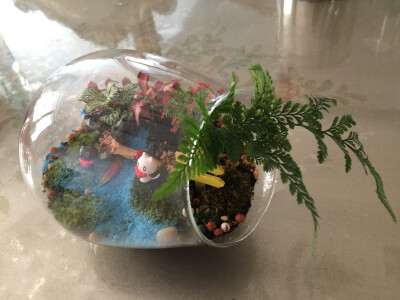 你要坚强的成长～