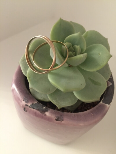 互不相干也可相干～