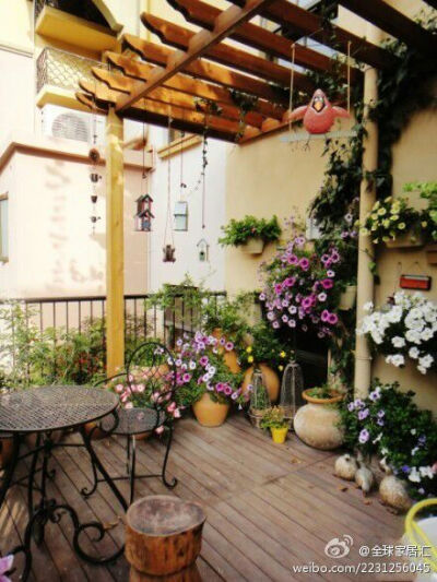 阳台上的小花园