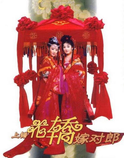 《上错花轿嫁对郎》2001年 共20集。主演：李玉湖_黄奕；齐天磊_聂远；杜冰雁_李佳璘；袁不屈_帅小红；老太君_郑毓芝。根据席绢的小说改编。两个同一天出嫁的新娘因一场大雨上错了花轿，却嫁对了郎。我从始至终都只喜…