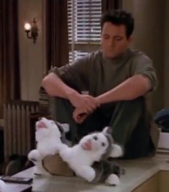 钱德的哈士奇棉拖鞋