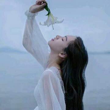 女孩们，要像百合花一样纯净，澄澈。