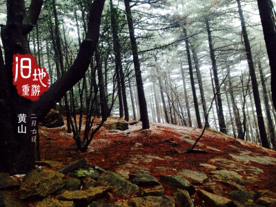 黄山——2014年2月记：雨雪黄山