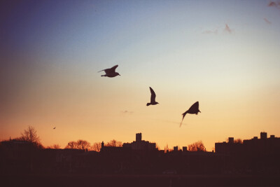 我不介意你就这么离去 我介意的是自己为何会如此频繁的想起你