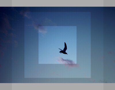 我不介意你就这么离去 我介意的是自己为何会如此频繁的想起你