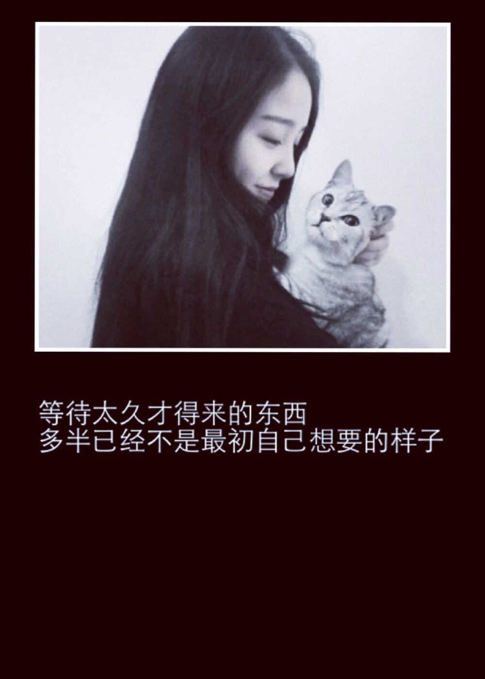 喜欢一样东西就要尽早得到他