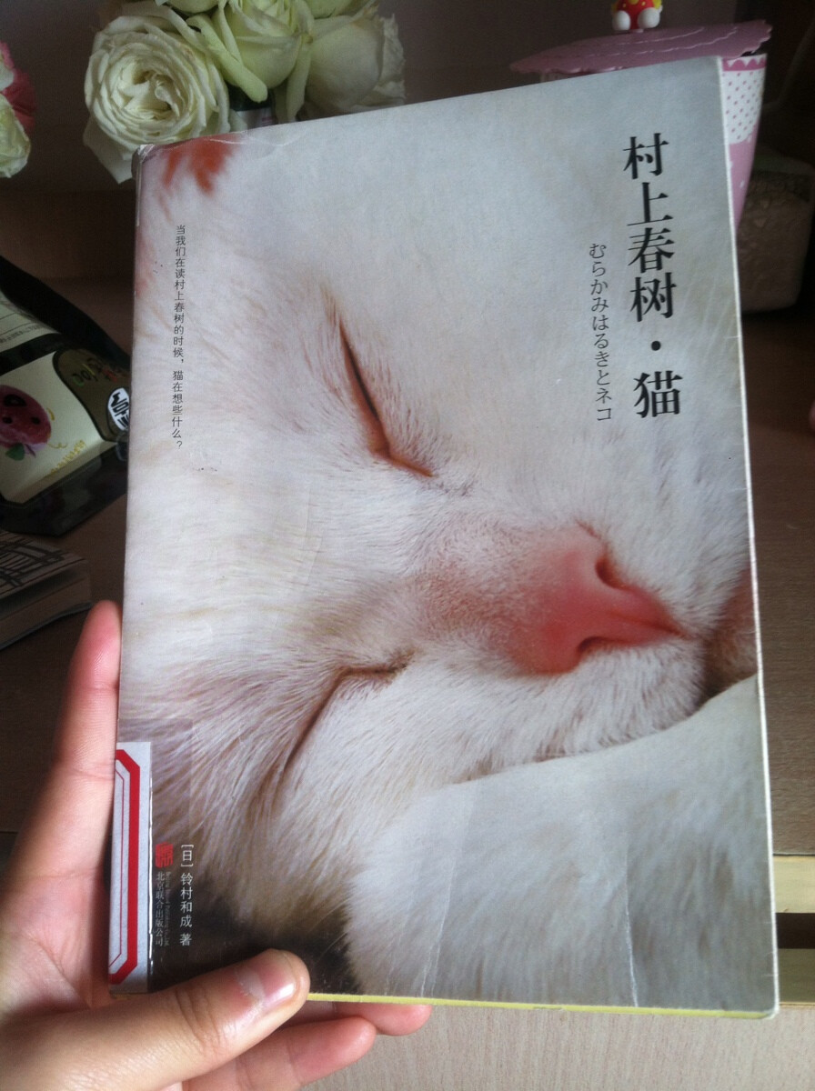 村上春树猫