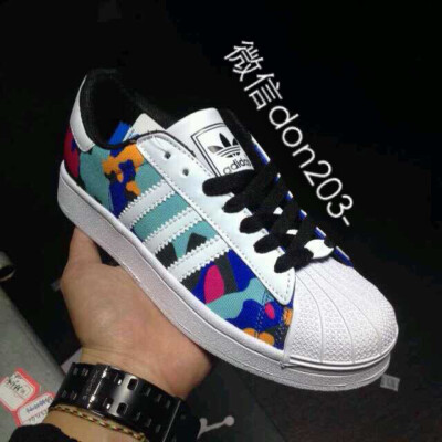 三叶草贝壳头