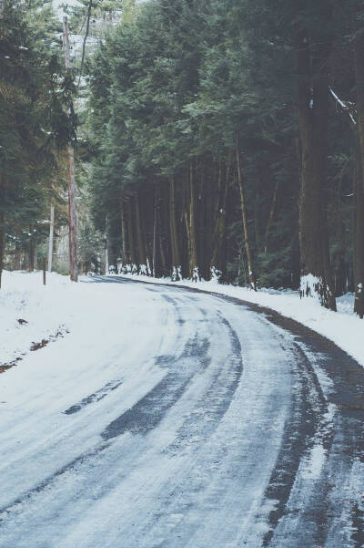 雪的森