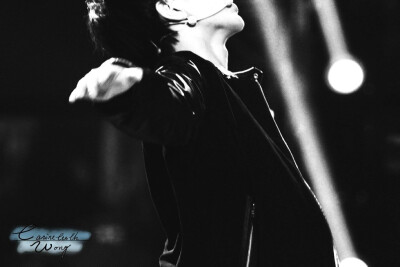 王俊凯 141231 江苏跨年 cr: LOGO