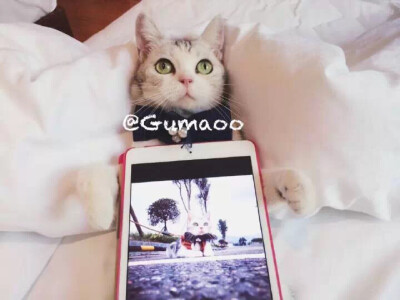 【闹闹云南篇】