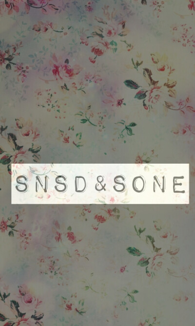 SNSD and SONE