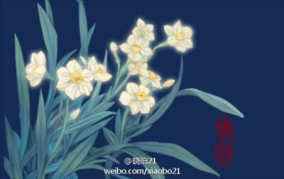 晓泊插画 植物 花卉 水仙