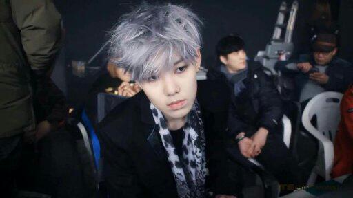 Zelo