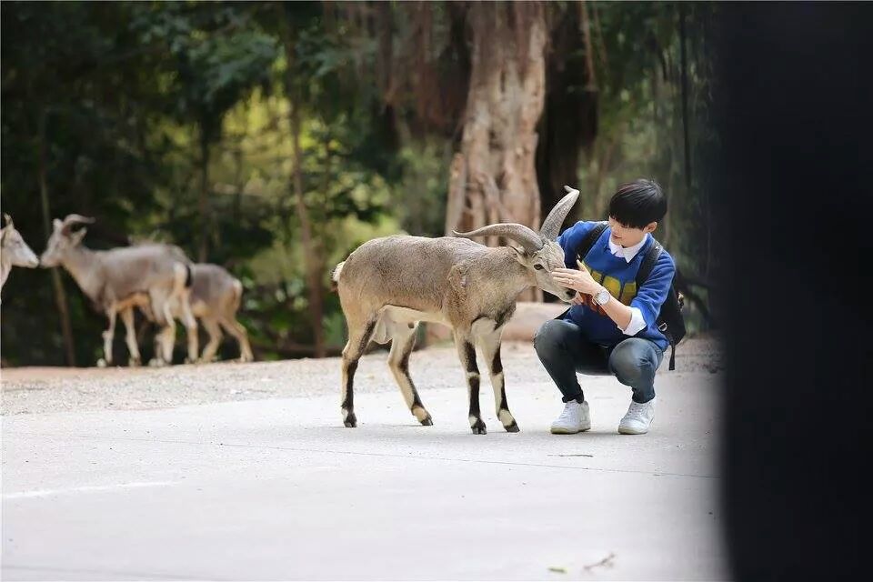 【李宇春#奇妙的朋友#】 好像才三十岁却变萌了三十倍