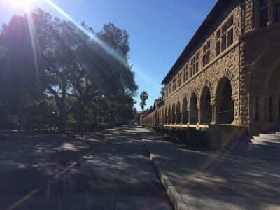 Nice sunlight in Stanford