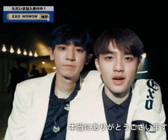 EXO ☆不愿透露姓名的石小姐