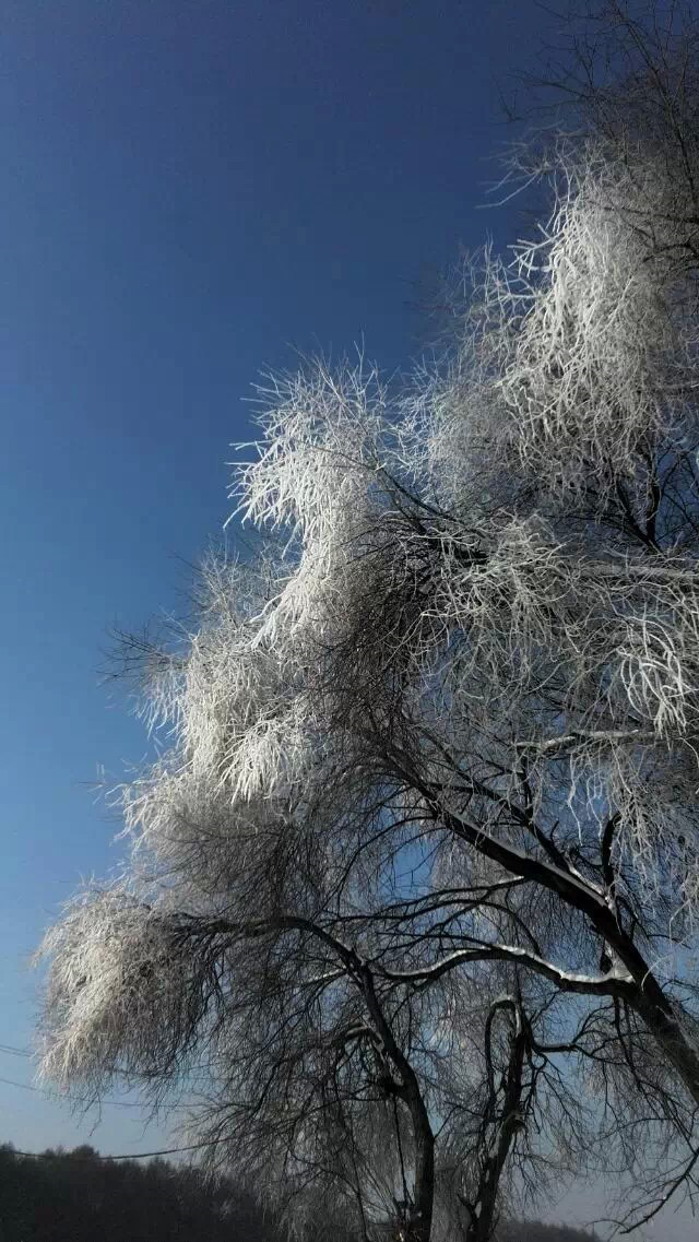 雾凇。