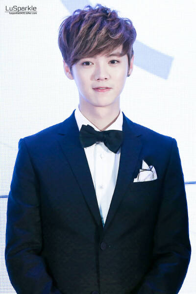 鹿晗 150109 百度史记盛典