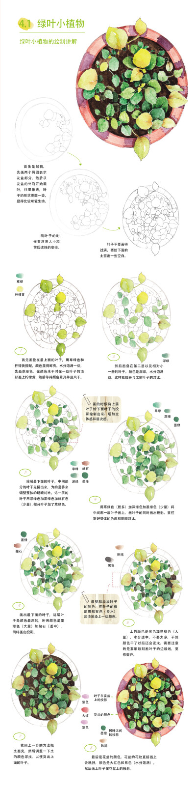 本案例摘自爱林文化主编、人民邮电出版社出版的《水彩绘森活》——绿叶小植物