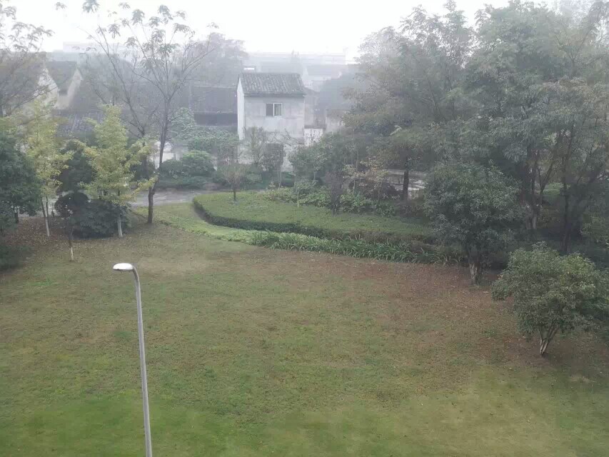 14年11月7日的照片，宁波的秋，宿舍外，毛毛毛毛毛雨，那天的雨太温柔