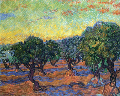 《橙色天空下的橄榄园》1889
