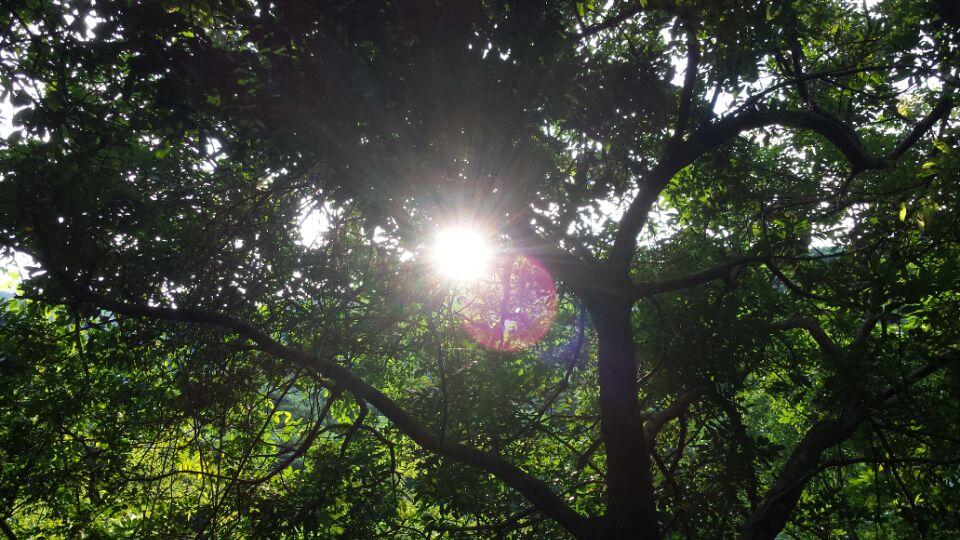 雨下一整天，就想念阳光的样子。