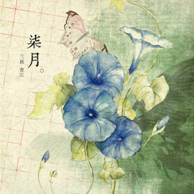 【花醉薇·叁·花卉筆記】