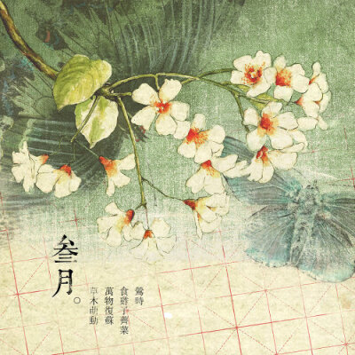 【花醉薇·叁·花卉筆記】