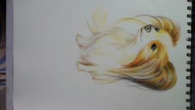 彩铅，狗