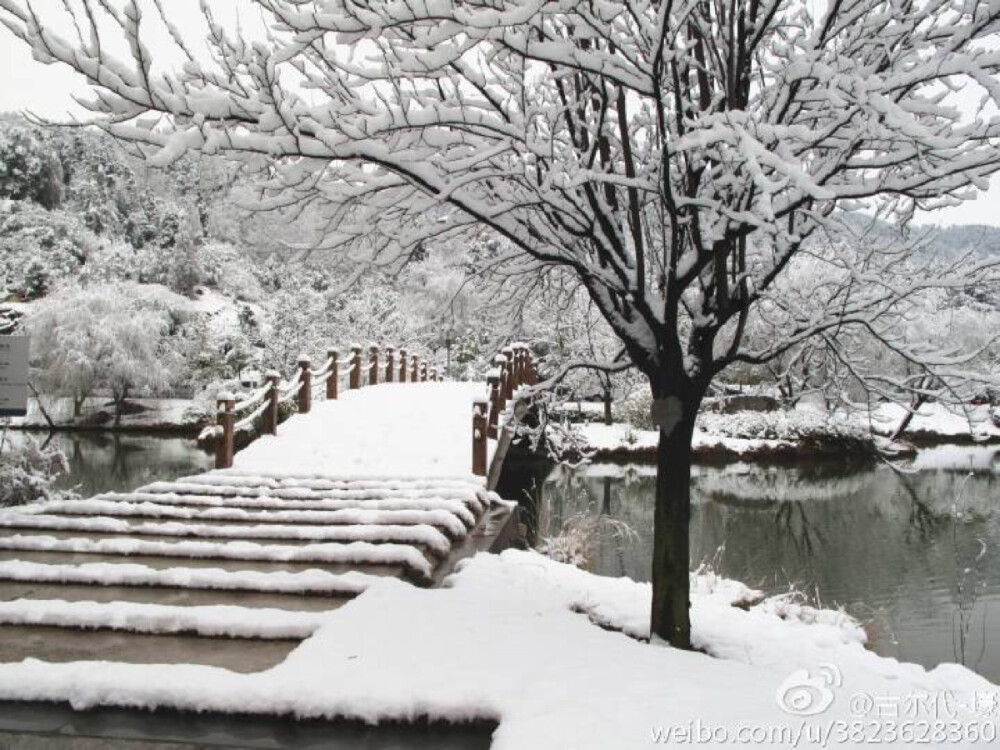 雪景