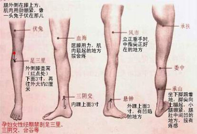 穴位