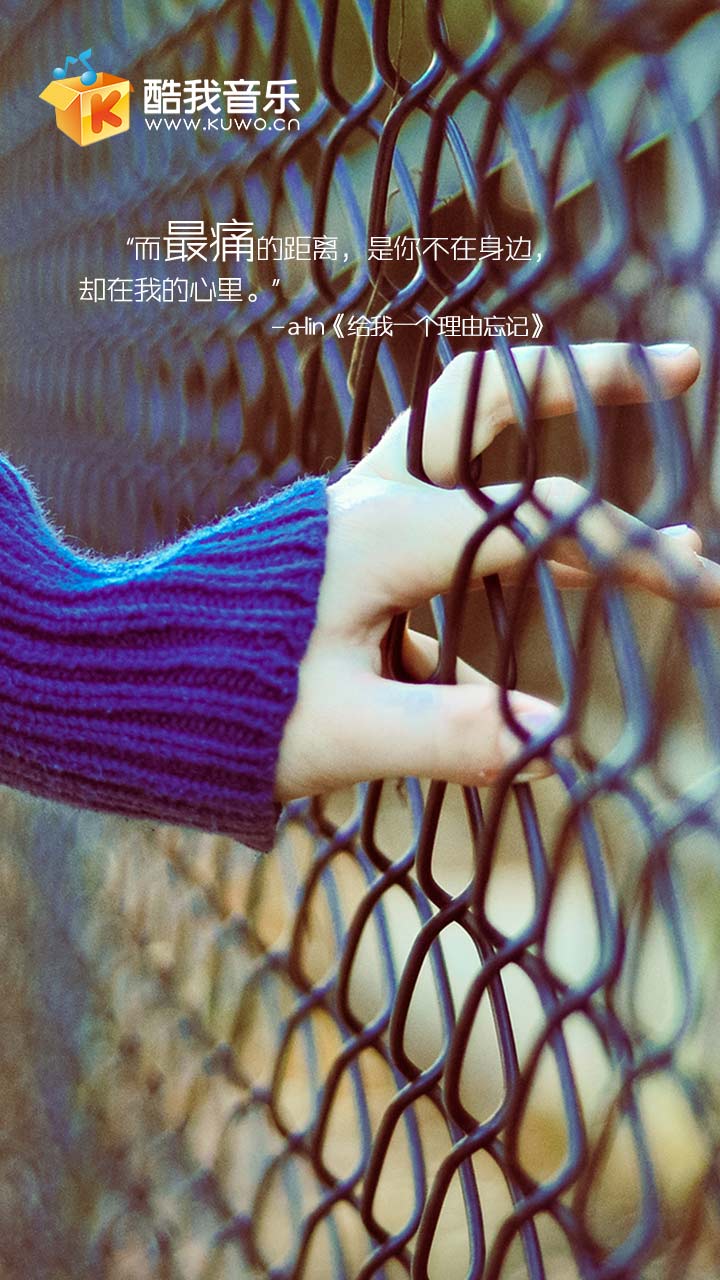 酷我音乐 - 堆糖,美图壁纸兴趣社区