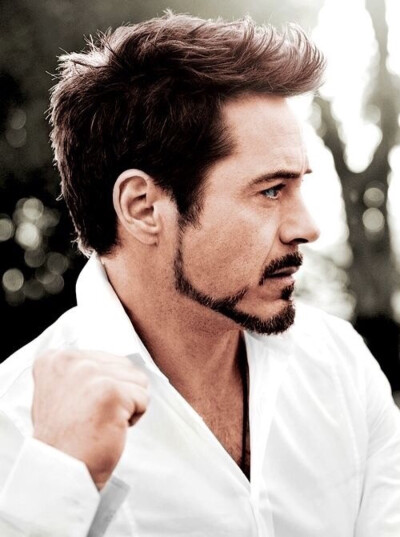 Robert Downey Jr.-小罗伯特·唐尼