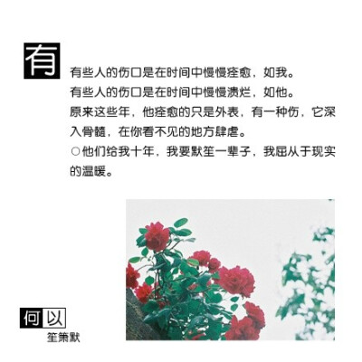 顾漫《何以笙箫默》中句句经典语录的合集，最戳中你的是哪一句？