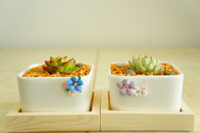 瓷花系列