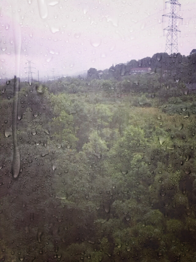 淅沥沥，天在下雨