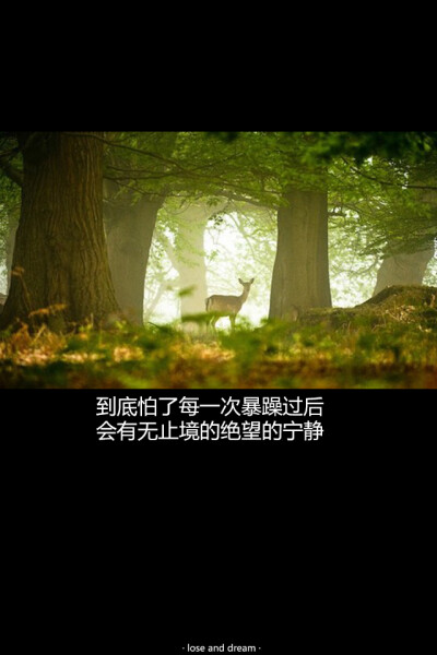 失与梦原创文字壁纸/锁屏/手机壁纸/自制壁纸（更多详见专辑）。请关注我哦！