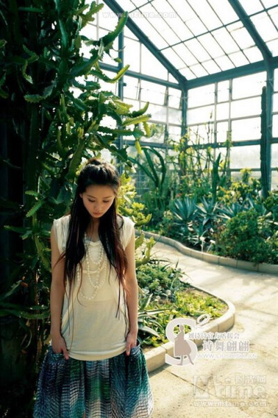 惊鸿一瞥•刘诗诗