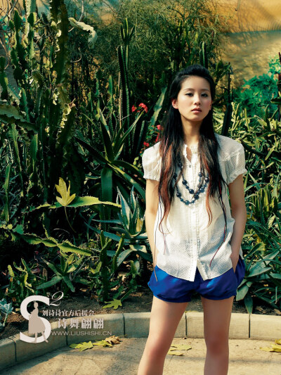 惊鸿一瞥•刘诗诗