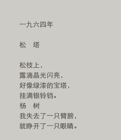 顾城 松塔