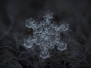 雪花的形状